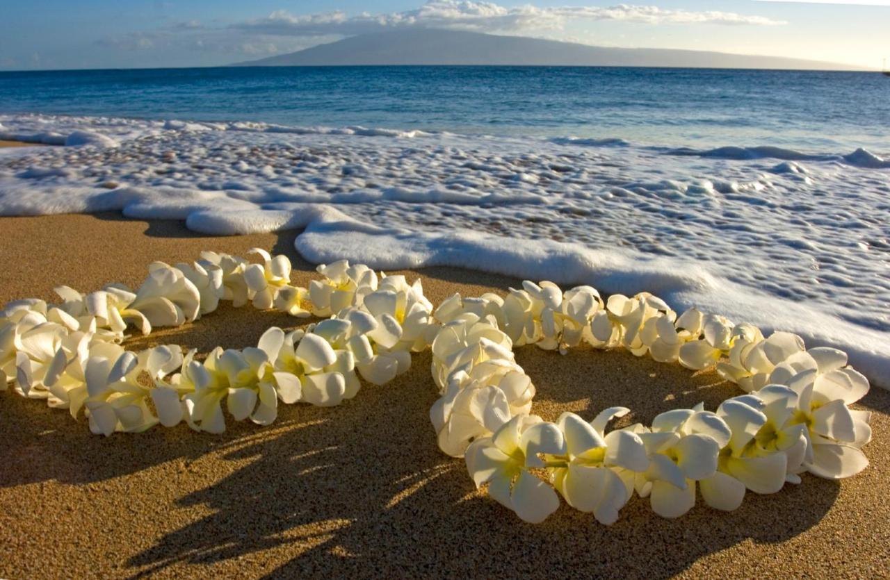 Mountain View Getaway, Free Parking And Beach Steps Away Honolulu Esterno foto