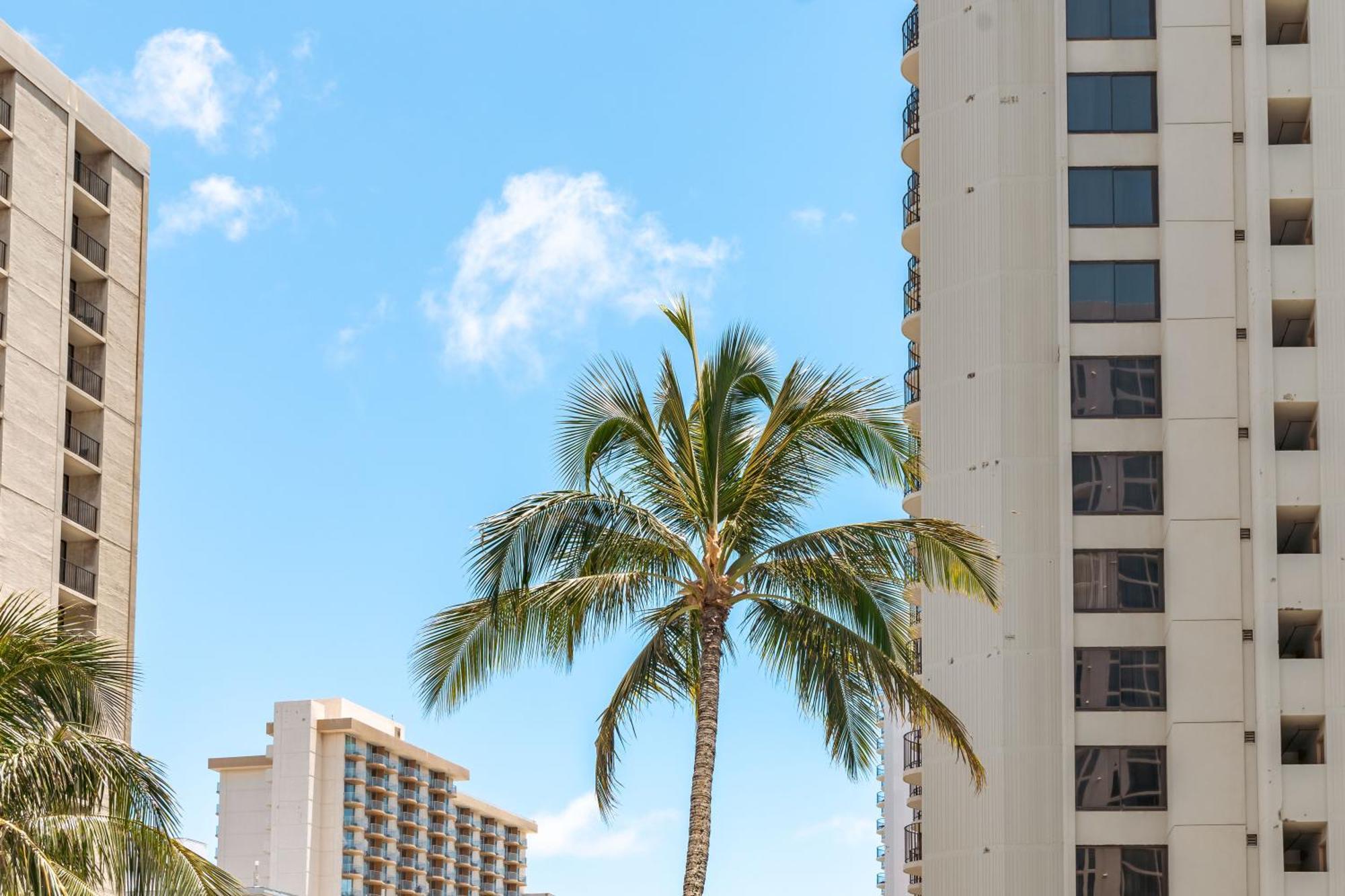 Mountain View Getaway, Free Parking And Beach Steps Away Honolulu Esterno foto